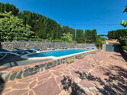 Begonia فيدريريس
